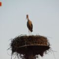 IMG-ca4c5c61e3895fe3caf1b74e3bd40521-V