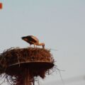 IMG-e58f22185fb62d11d6984e0548a0015b-V