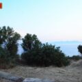 IMG-36b8bd0fd39a84192a7d91ddea2ac0aa-V
