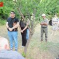 IMG-737253dfa6c4ebd944027351356e6e6e-V