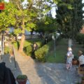 IMG-40576f3e162465e48472a4278f2d17d9-V